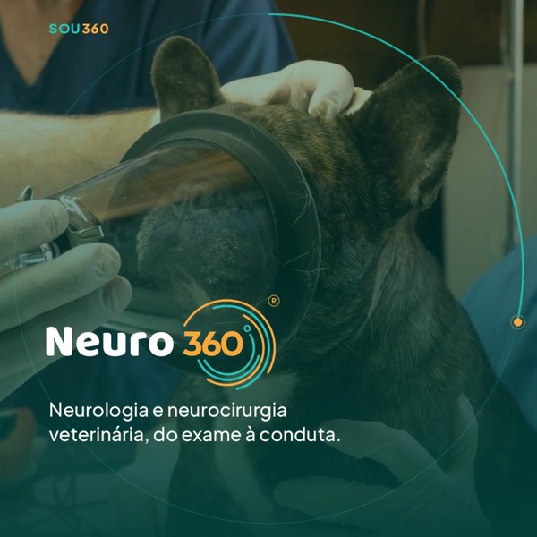 Sou360 · vídeo em loop